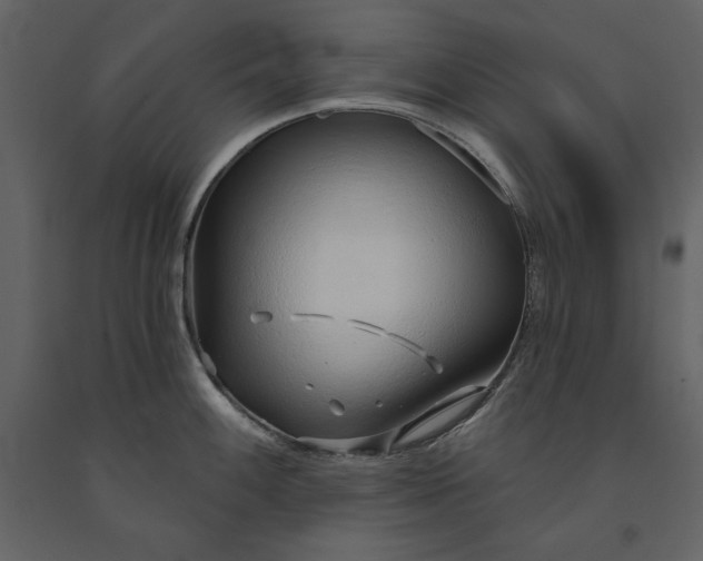 X0000091231100200708231649