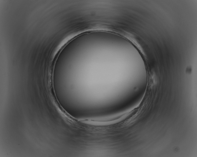 X0000091231101200708231649