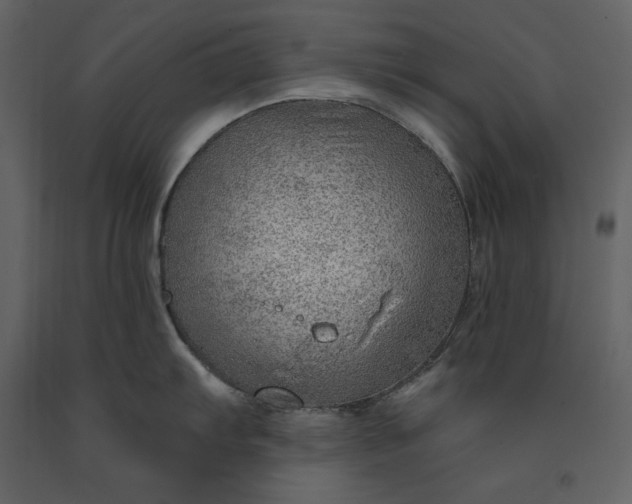 X0000091231103200708231648