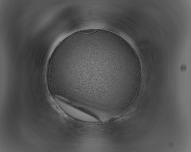 X0000091231104200708231648