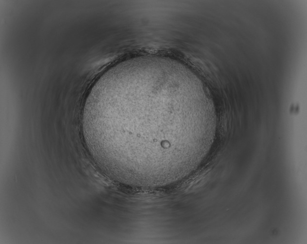 X0000091231105200708231648