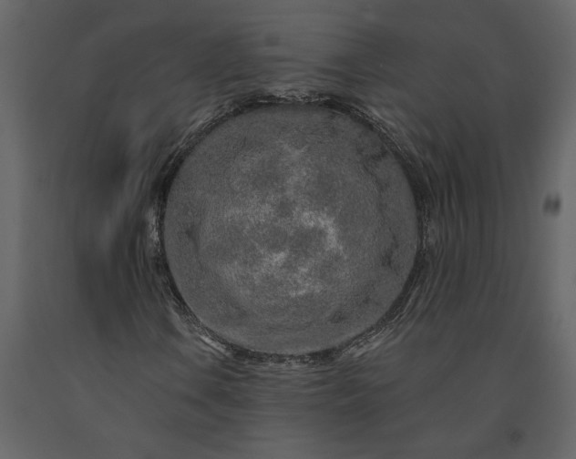 X0000091231106200708231648