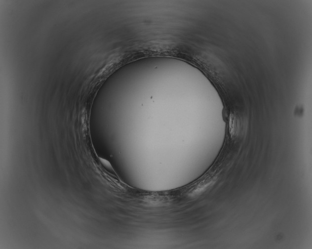 X0000091231107200708231648