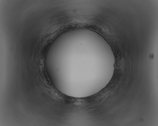 X0000091231109200708231648