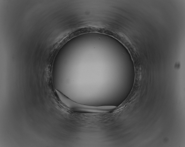 X0000091231110200708231648