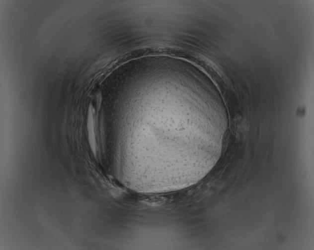 X0000091231111200708231648