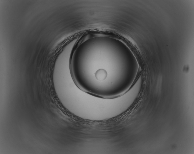 X0000091231112200708231648