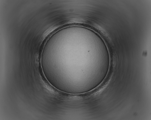 X0000091231113200708231648
