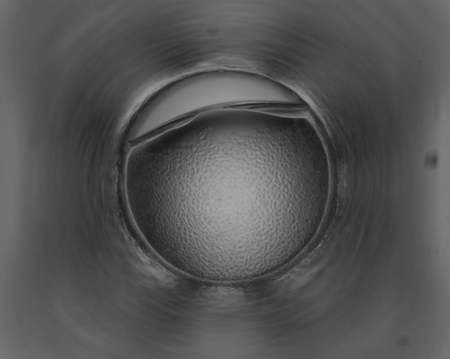 X0000091231115200708231648