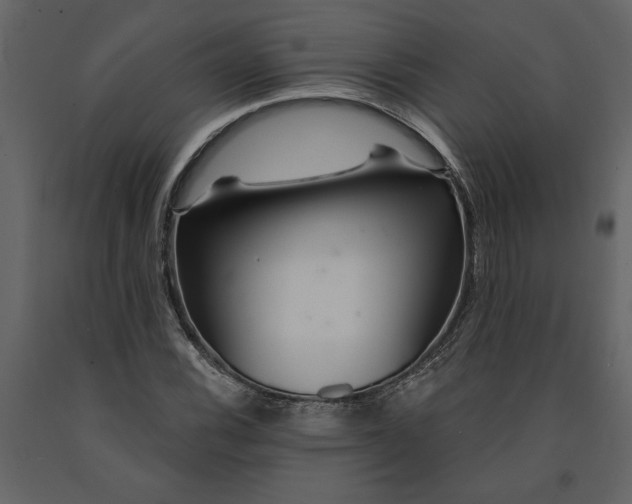 X0000091231116200708231648