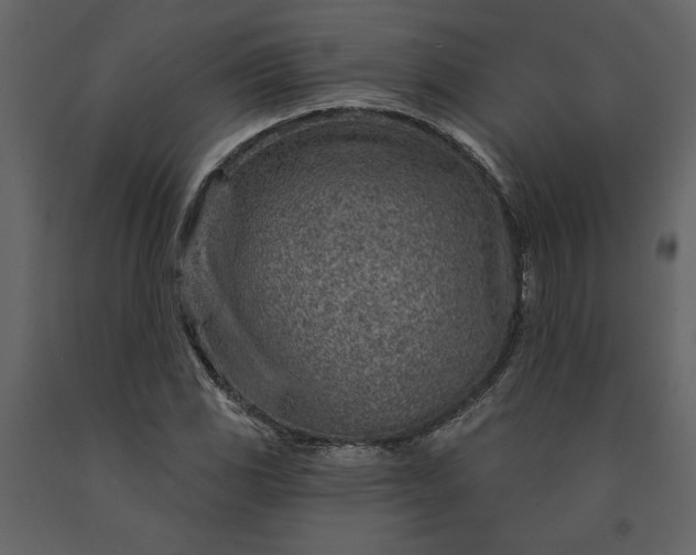 X0000091231117200708231648
