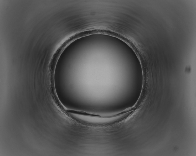 X0000091231118200708231648