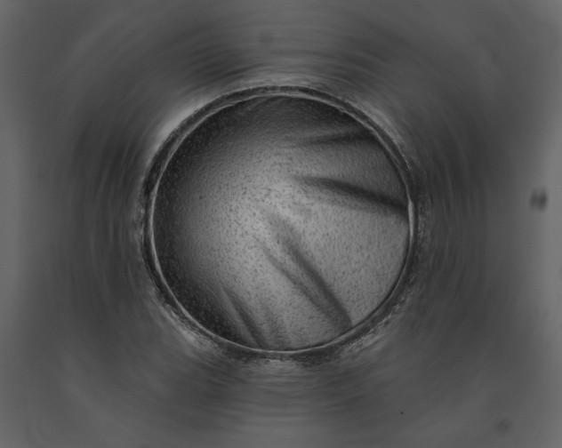 X0000091231119200708231648