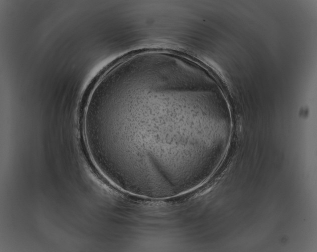 X0000091231120200708231648