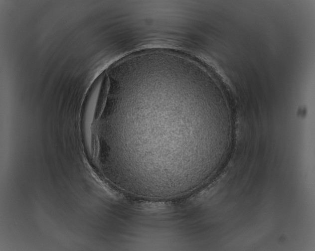 X0000091231121200708231648