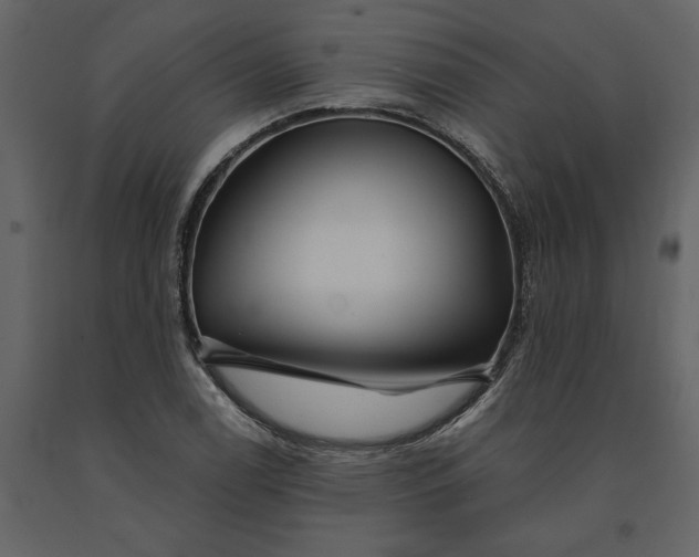 X0000091231122200708231648