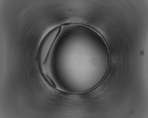 X0000091231123200708231648