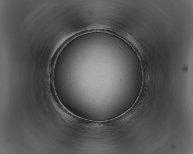 X0000091231124200708231648