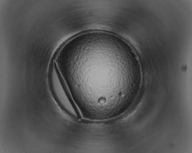 X0000091231125200708231648