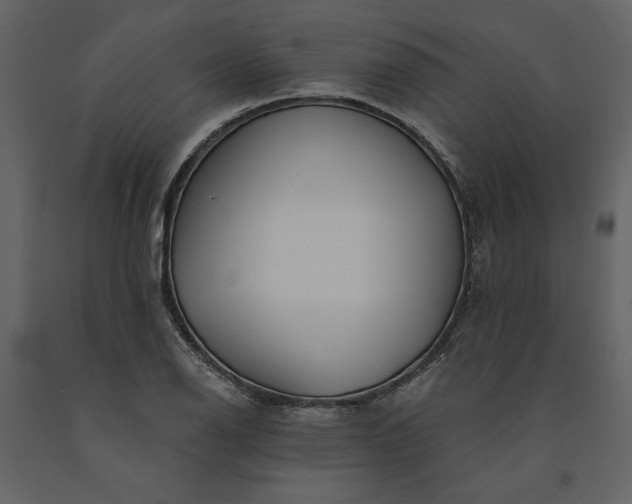 X0000091231126200708231648