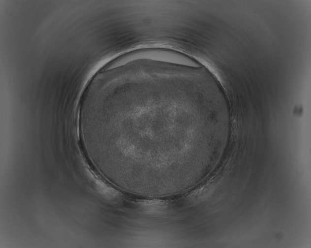 X0000091231127200708231648