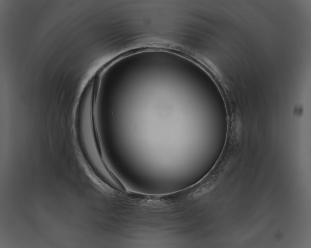 X0000091231128200708231648