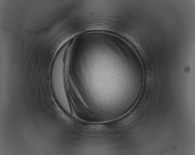 X0000091231129200708231648