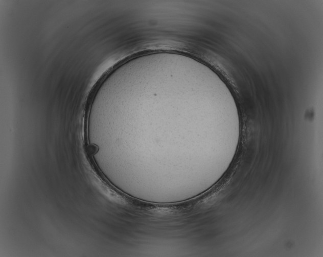 X0000091231130200708231648