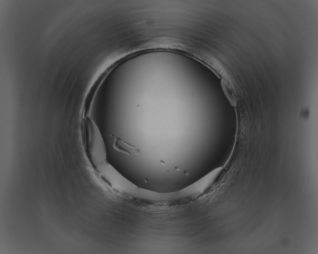 X0000091231132200708231648