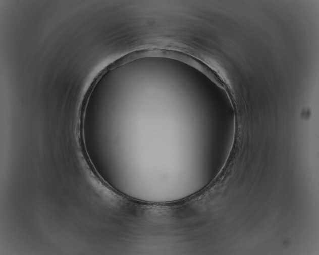 X0000091231136200708231648