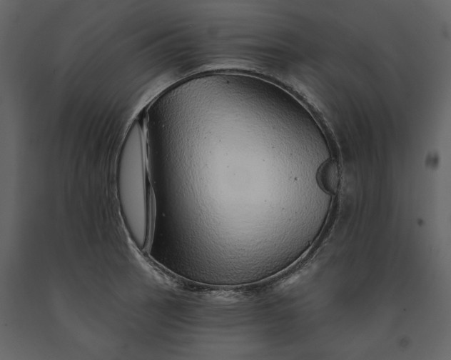 X0000091231137200708231648