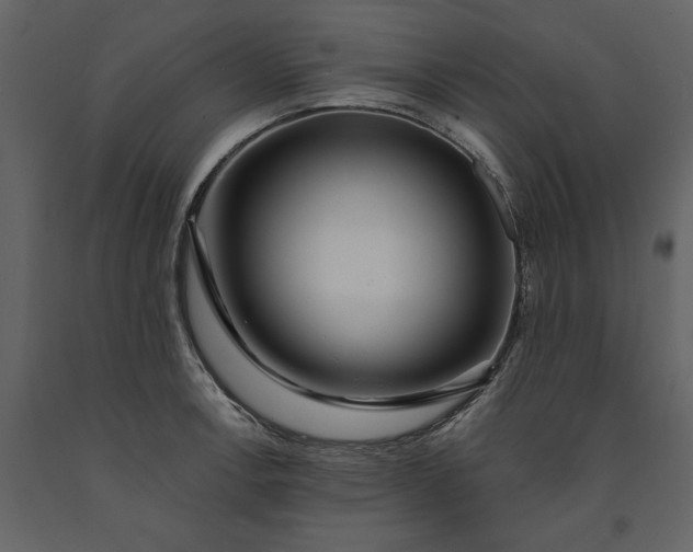 X0000091231138200708231648