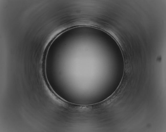 X0000091231139200708231648