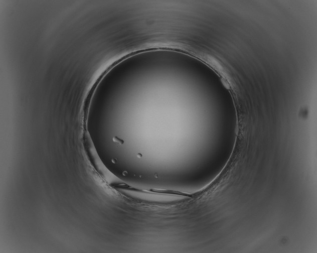 X0000091231140200708231648