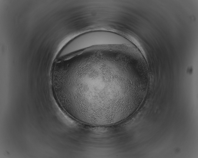 X0000091231141200708231648