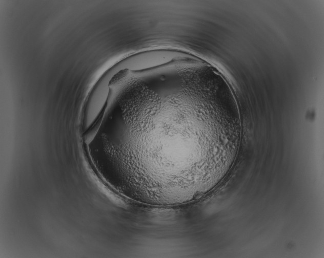 X0000091231142200708231648