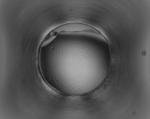 X0000091231143200708231648