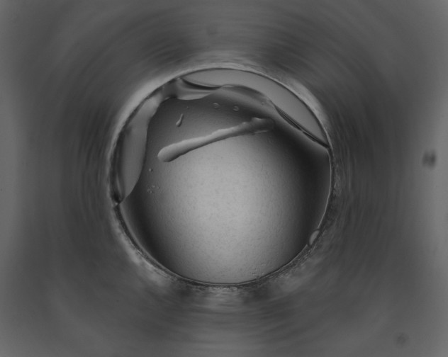 X0000091231144200708231648