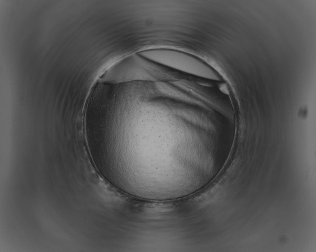 X0000091231145200708231648