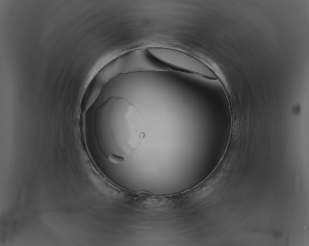 X0000091231146200708231648