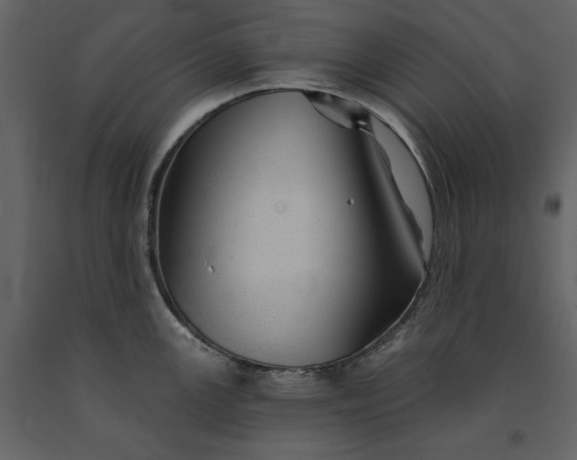 X0000091231147200708231648