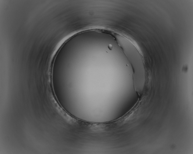 X0000091231148200708231648