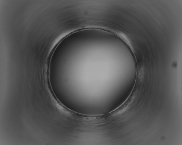 X0000091231149200708231648