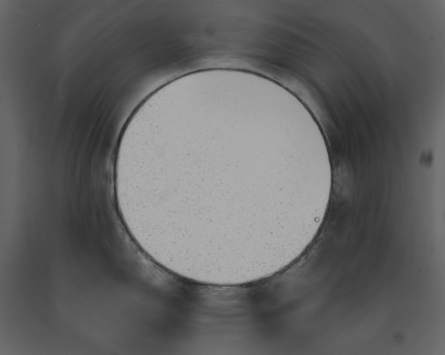 X0000091231150200708231648