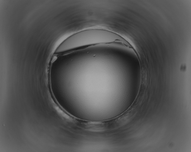 X0000091231151200708231648
