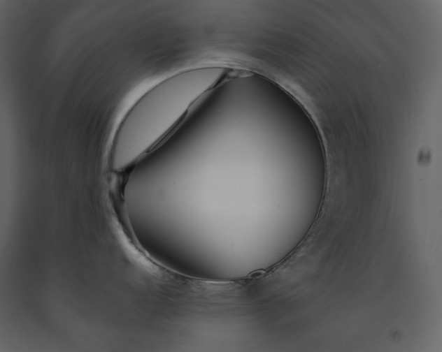 X0000091231152200708231648
