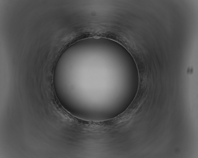 X0000091231153200708231648