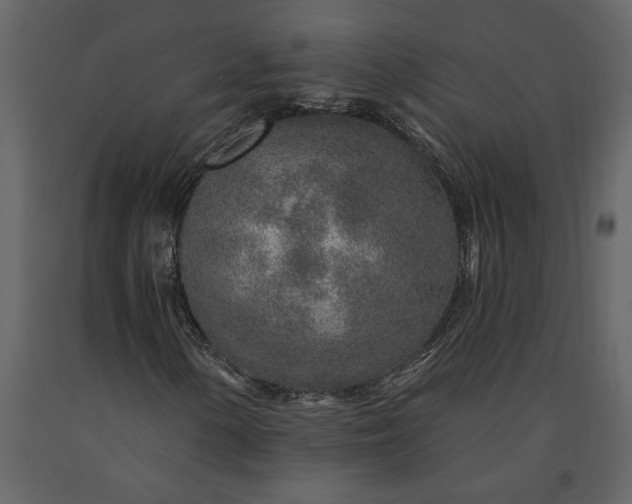 X0000091231154200708231648