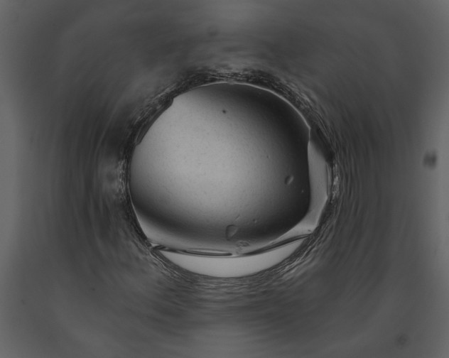 X0000091231156200708231648