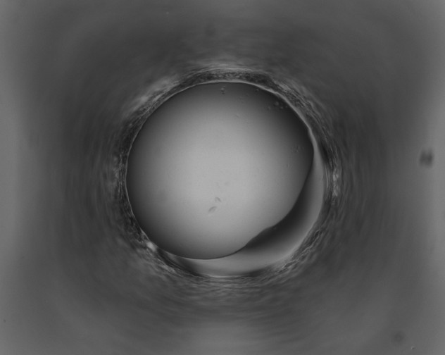 X0000091231157200708231648